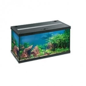 Qualipet  EHEIM Aquarium Aquastar 54 LED schwarz