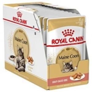 Qualipet  Royal Canin Katze Mainecoon 12x85g