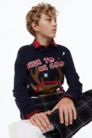 HM  Pullover mit Motiv