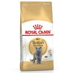 Royal Canin British Shorthair 34