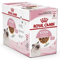 Qualipet  Royal Canin Kitten in Sauce 12x85g
