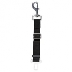 Verbindungsgurt Adapter 45-70cm schwarz CHF 11.90