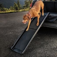 Qualipet  Freezack Autorampe Travel Dog