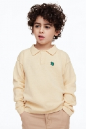 Pullover mit Kragen CHF 12.95