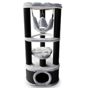 Qualipet  Petrebels Kings & Queens Catharina120 royal Grau