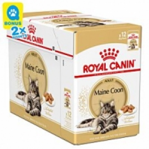 Qualipet  Royal Canin Katze Mainecoon 12x85g