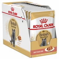 Qualipet  Royal Canin Katze British Shorthair 12x85g