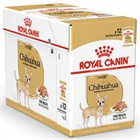 Qualipet  Royal Canin Chihuahua 12x85g