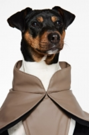 HM  Hundejacke mit Coating