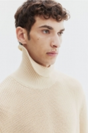 Rollkragenpullover Regular Fit CHF 24.95