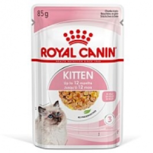 Qualipet  Royal Canin Kitten in Gelée