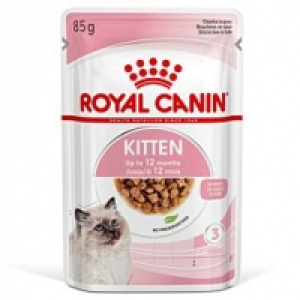 Royal Canin Kitten in Sauce