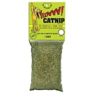 Qualipet  Yeowww Catnip Katzenminze 28g