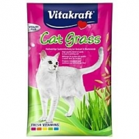 Qualipet  Vitakraft Cat Katzengras Samen Nachfüllbeutel 50g