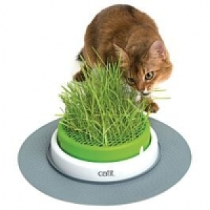 Qualipet  Catit Senses 2.0 Grass Planter