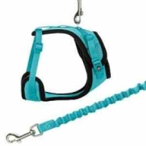 Mesh Y Katzengeschirr und Katzenleine CHF 27.50