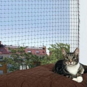 Katzennetz schwarz
