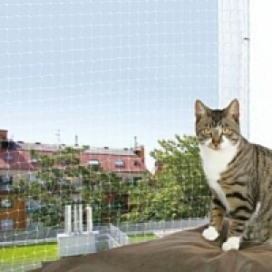 Katzennetz transparent