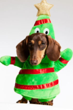 HM  Weihnachtsbaum-Hundekostüm