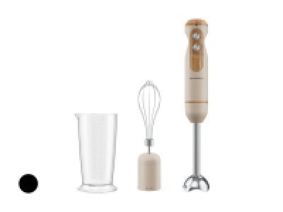 Lidl  Stabmixer-Set