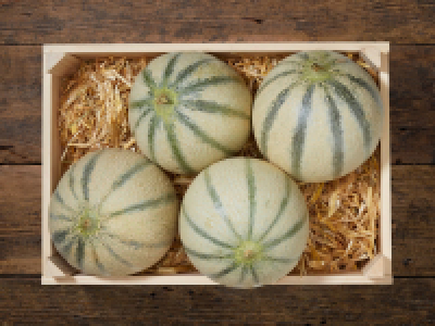 Cantaloupemelonen CHF 1.99