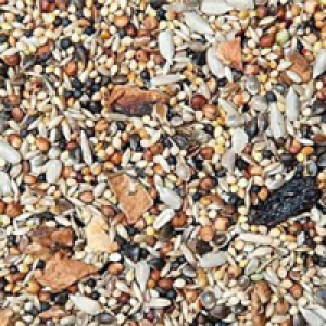 GEVO Wildvogelfutter mit Früchten CHF 4.90