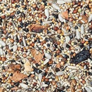 GEVO Wildvogelfutter mit Früchten