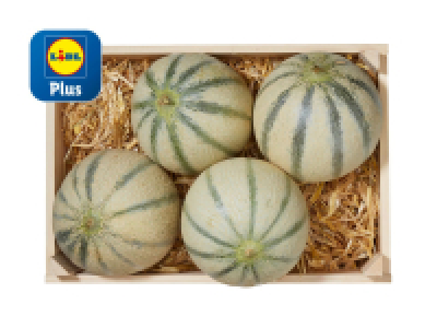 Cantaloupemelonen