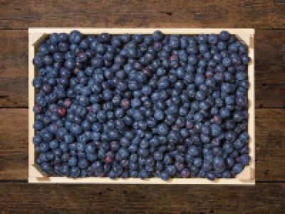 Heidelbeeren