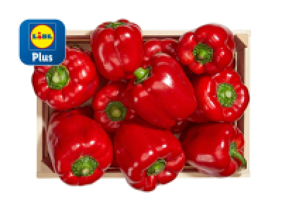 Peperoni rot