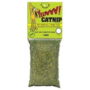Qualipet  Yeowww Catnip Katzenminze 28g
