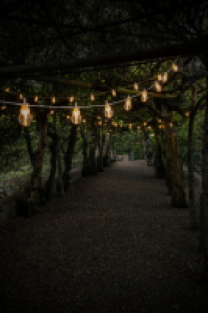 Micasa  Solar Dual Partylight 10 LED