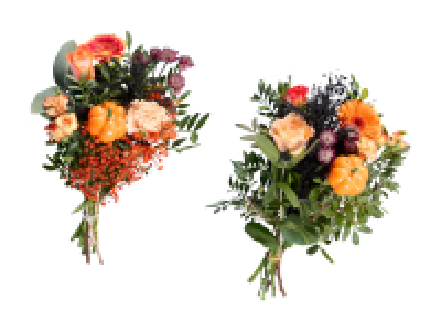 Lidl  Herbstfeeling Strauss Halloween
