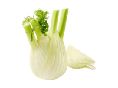 Schweizer Fenchel