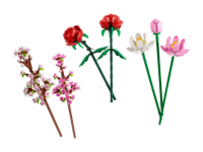 Lidl  Modell-Blumen
